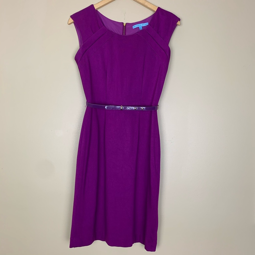 ANTONIO MELANI Purple Dress